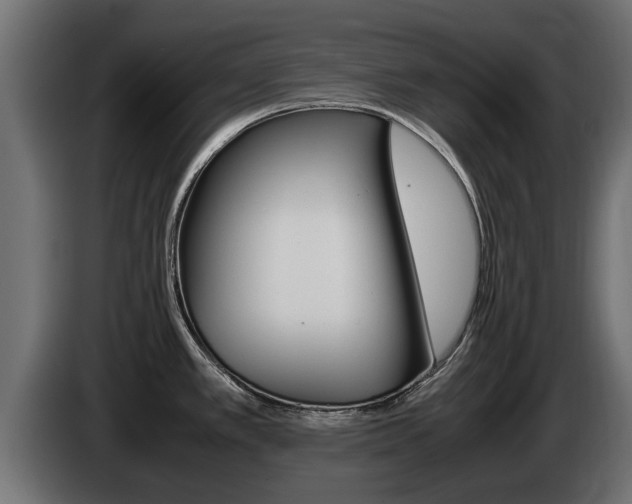 X0000085051389200703051036