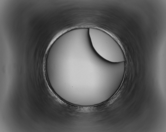 X0000085051390200703051036