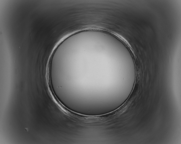 X0000085051391200703051036