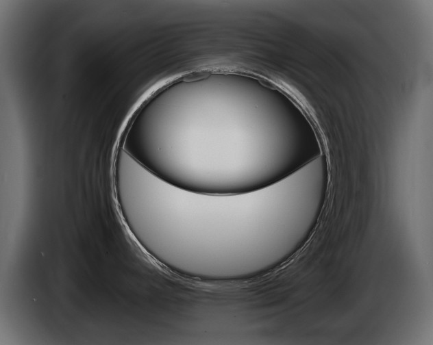 X0000085051392200703051036