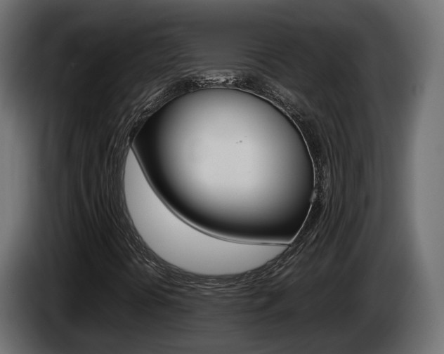 X0000085051394200703051035
