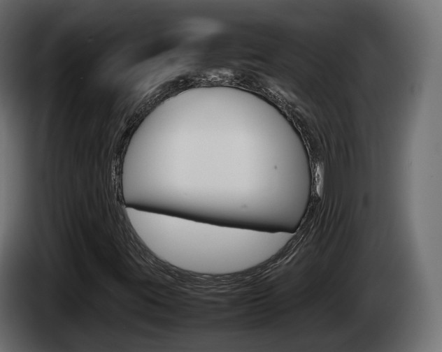 X0000085051395200703051035