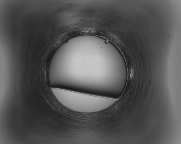 X0000085051396200703051036