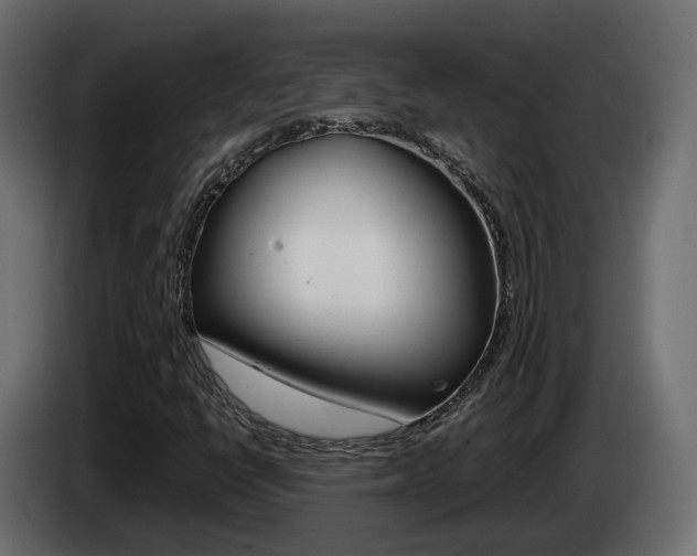 X0000085051398200703051036