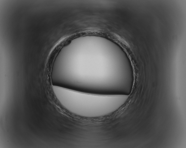 X0000085051400200703051036