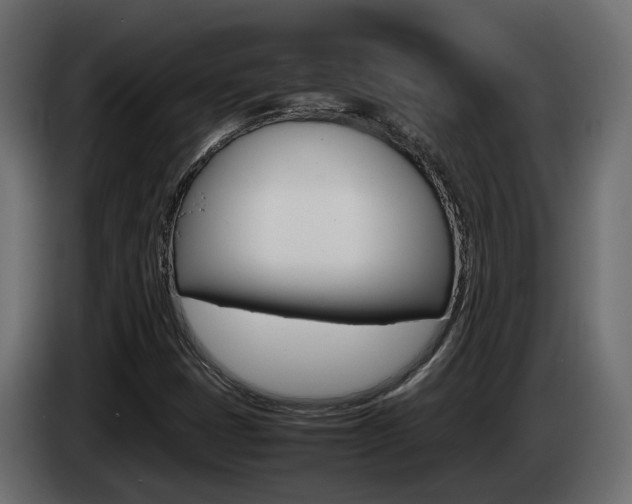 X0000085051401200703051036