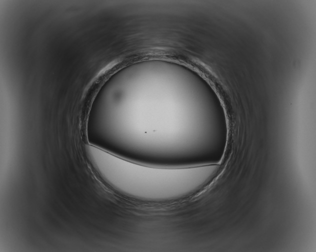 X0000085051402200703051036