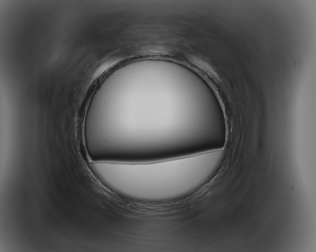 X0000085051404200703051036