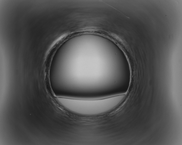 X0000085051406200703051036