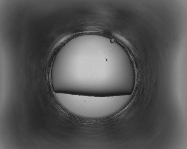 X0000085051407200703051036