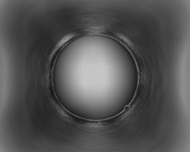 X0000085051410200703051036