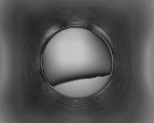 X0000085051411200703051036