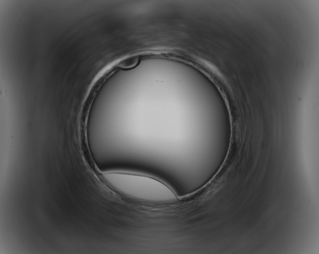 X0000085051412200703051036