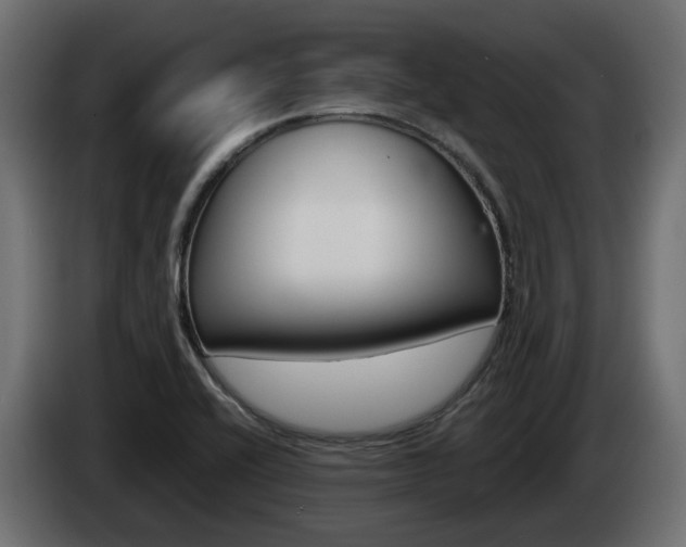 X0000085051416200703051036