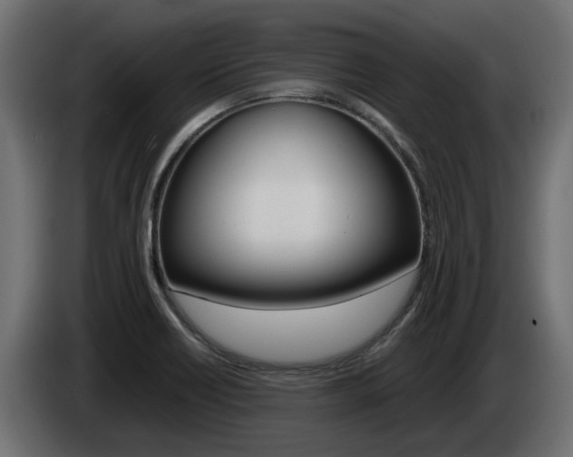 X0000085051418200703051036