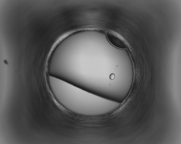 X0000085051421200703051036