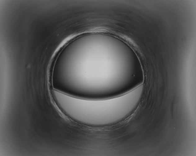 X0000085051422200703051036