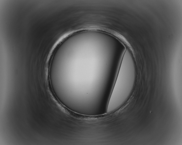 X0000085051424200703051036