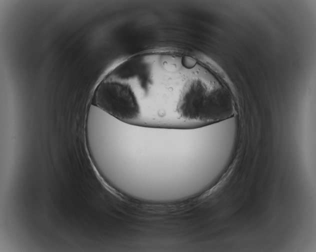 X0000085051425200703051036