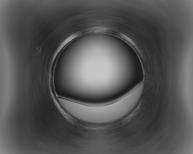 X0000085051426200703051036