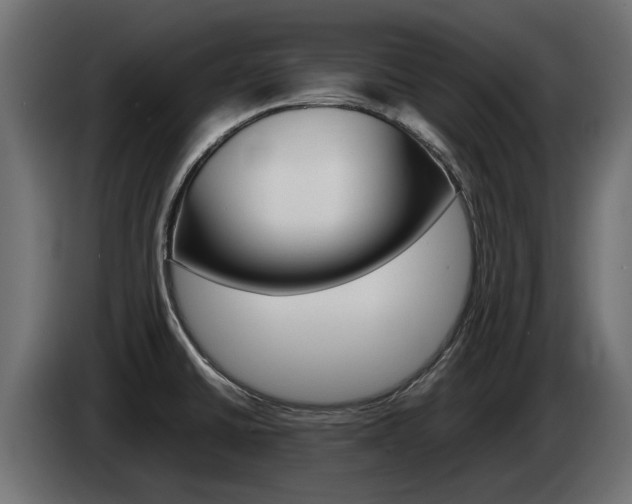 X0000085051430200703051036