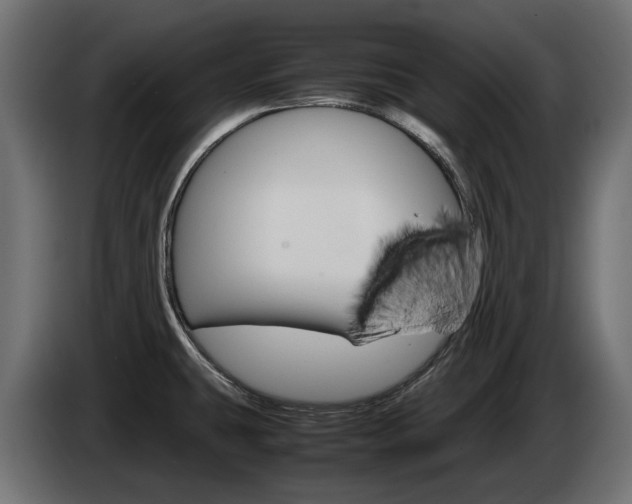 X0000085051431200703051036