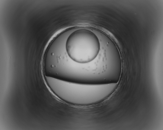 X0000085051432200703051036