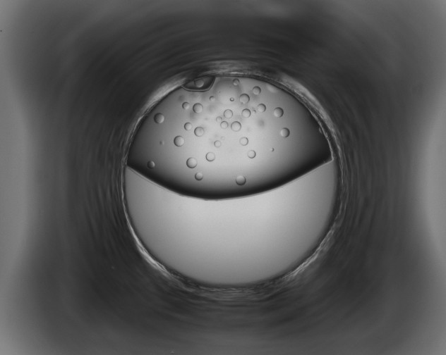 X0000085051433200703051036