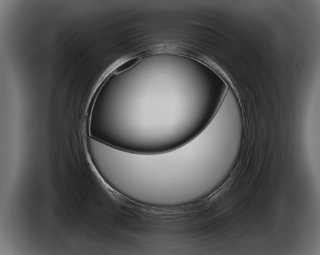 X0000085051434200703051036