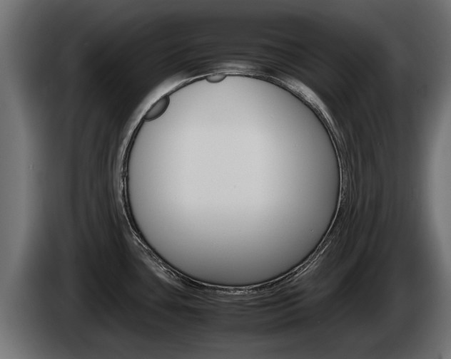 X0000085051435200703051036