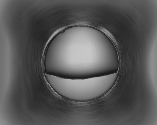 X0000085051436200703051036