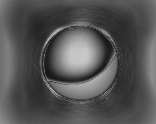 X0000085051438200703051036