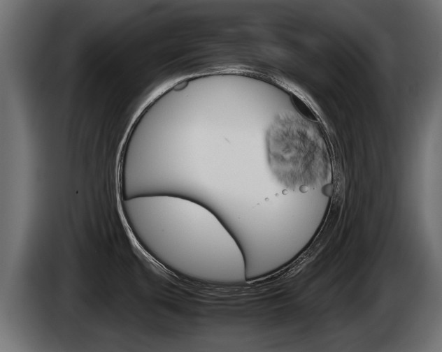X0000085051439200703051036