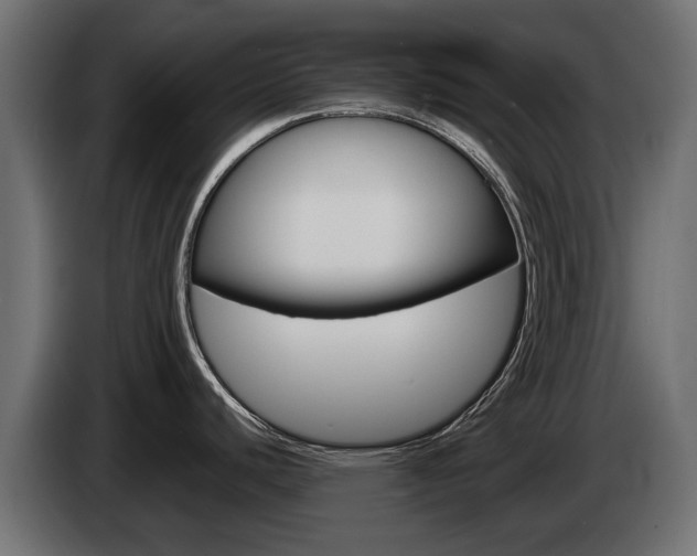 X0000085051440200703051036