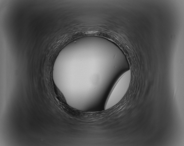 X0000085051441200703051035