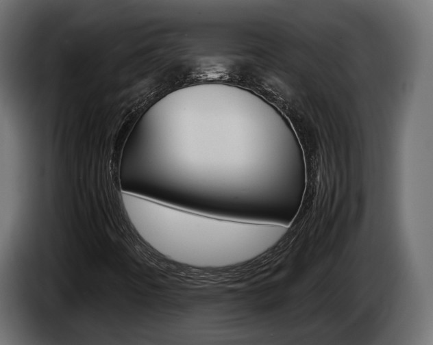 X0000085051442200703051035