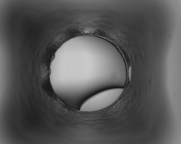 X0000085051443200703051035
