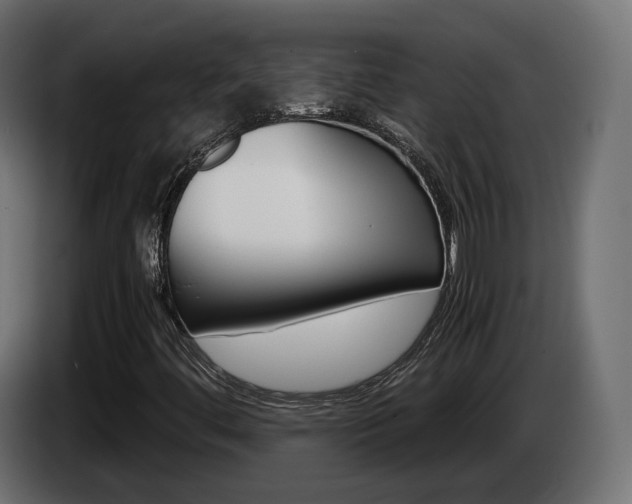 X0000085051444200703051035