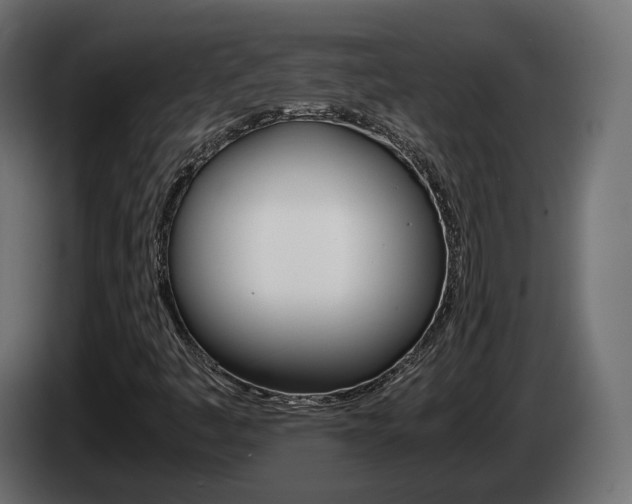 X0000085051445200703051035