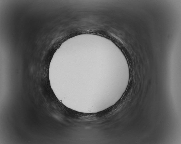 X0000085051447200703051035