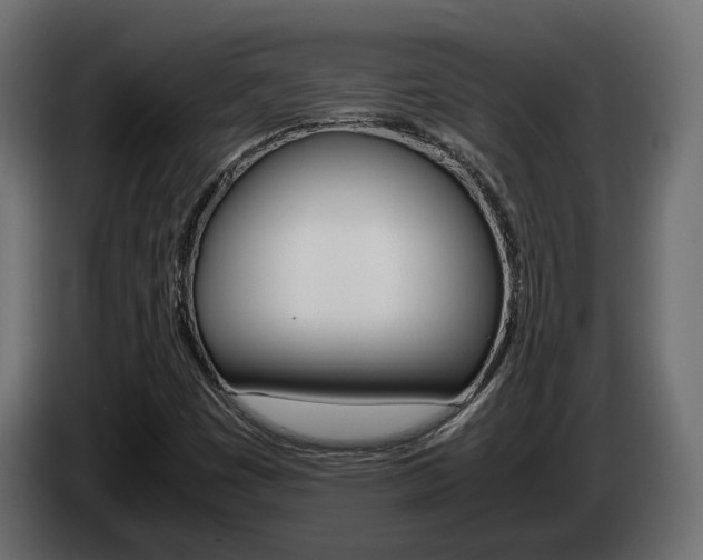 X0000085051449200703051035