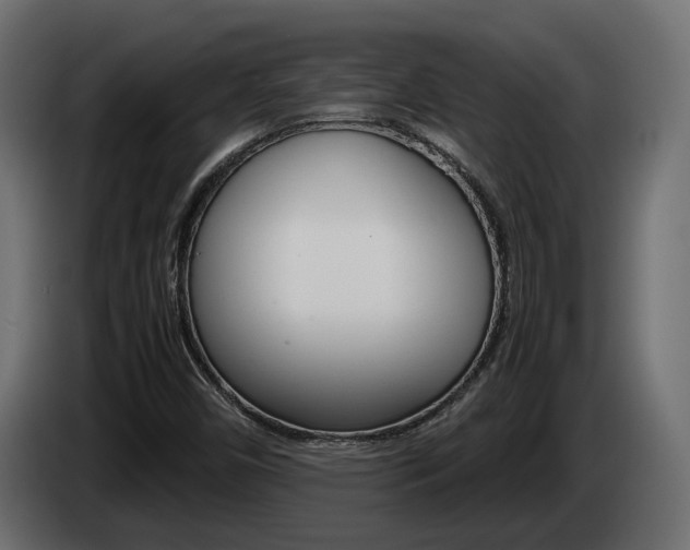 X0000085051450200703051035