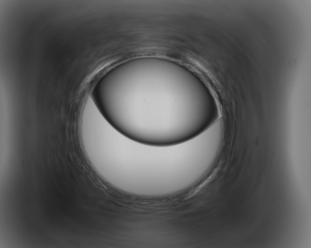 X0000085051453200703051035