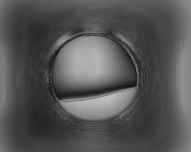 X0000085051455200703051035