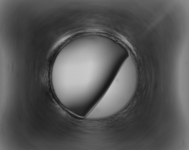 X0000085051456200703051035