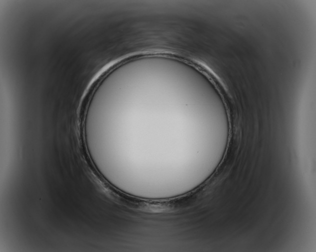 X0000085051460200703051035