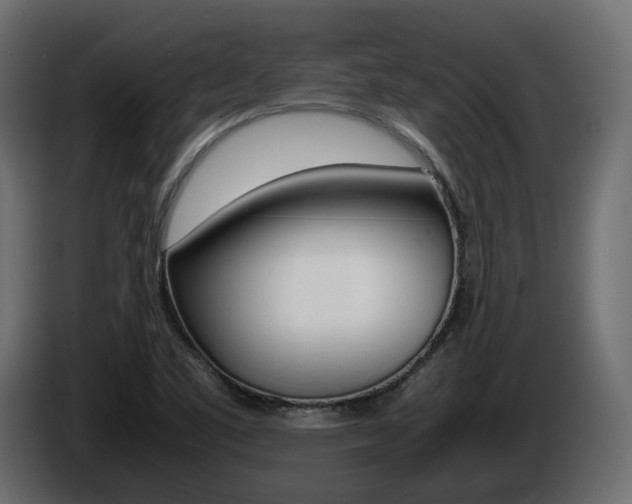 X0000085051461200703051035