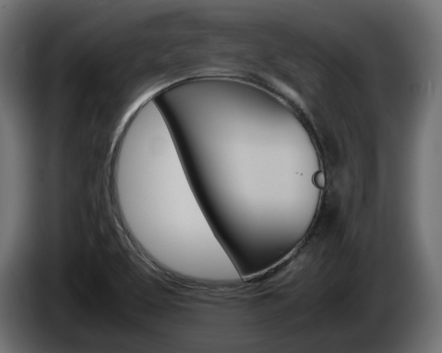 X0000085051463200703051035