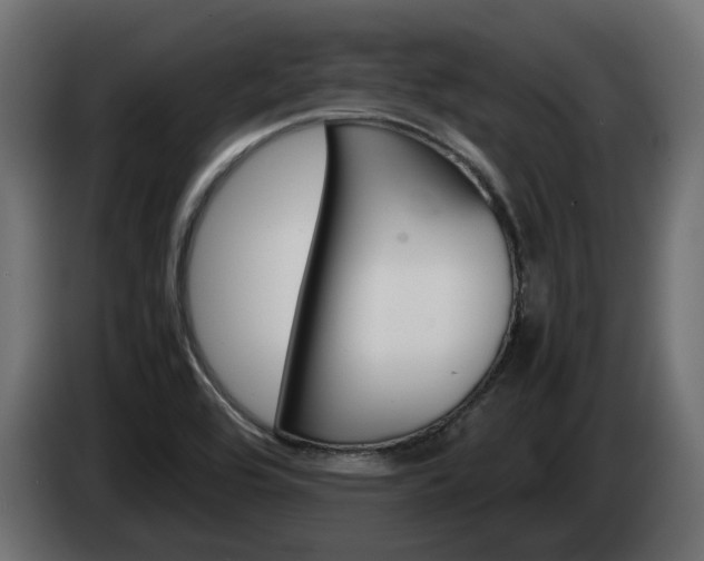 X0000085051464200703051035