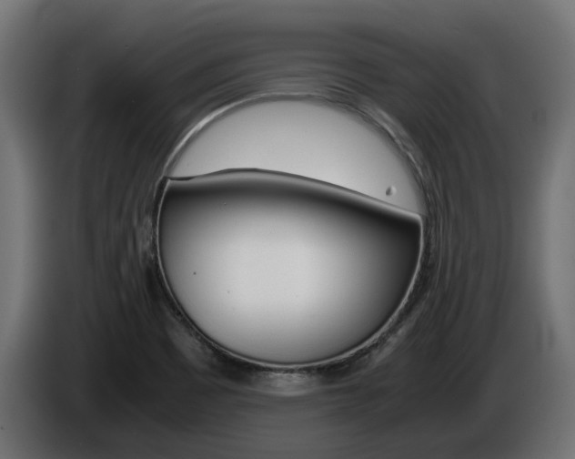 X0000085051465200703051035